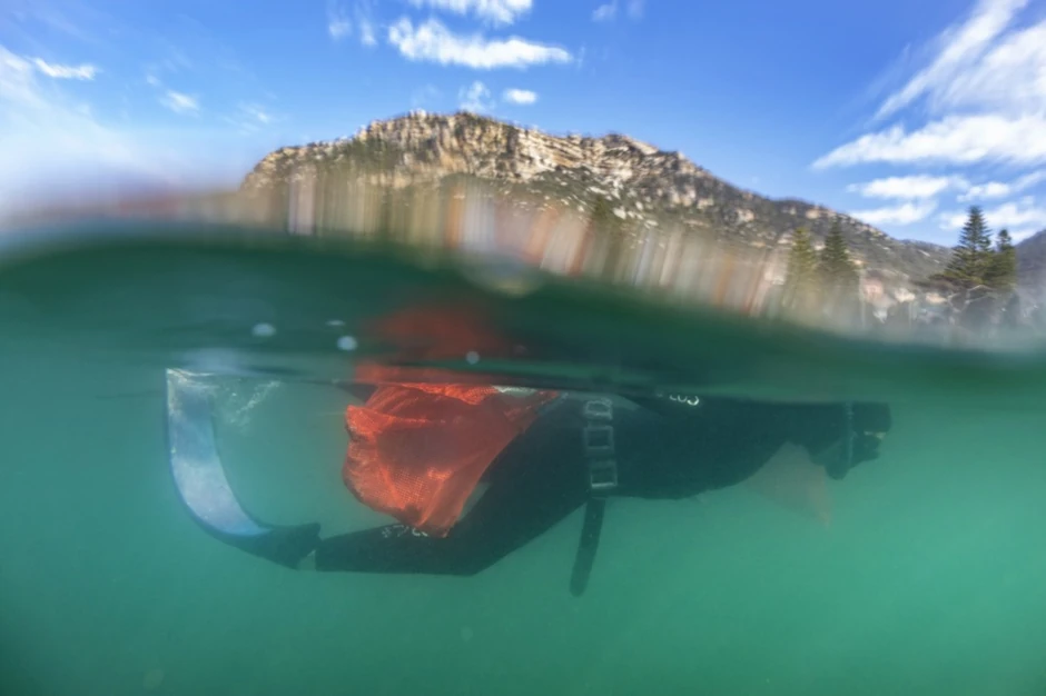 Ronici nose plastični otpad kod Kejp Tauna, Južna Afrika, 12. juna 2021.