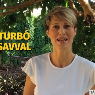 Őszi immunturbó huminsavval