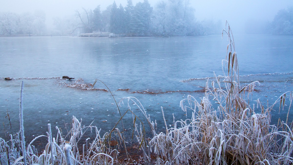 Śnieg, mróz i lód na drogach - takie, według prognoz synoptyków, będą najbliższe dni w Wielkiej Brytanii.