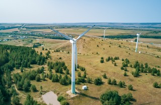 Ptaki czy wiatraki? Branża ma nowe niepokoje