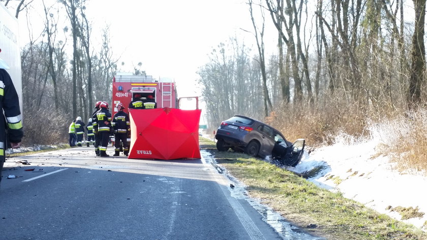 Wypadek pod Olszową