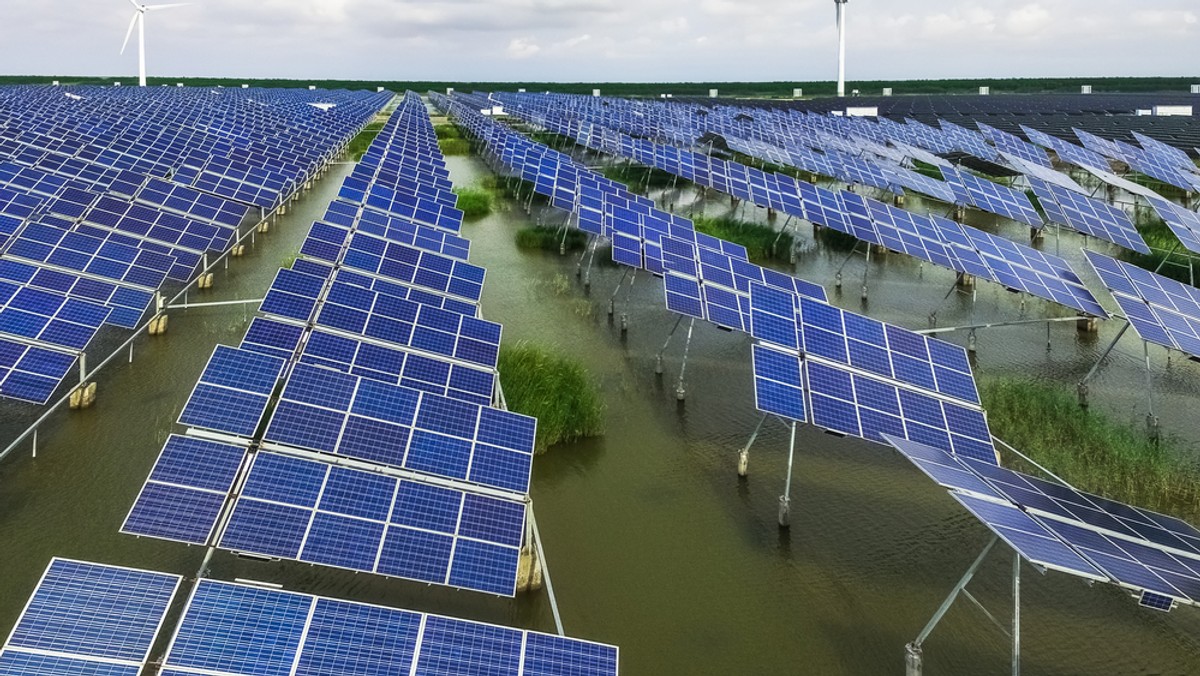 Fotowoltaika. Zainwestuj w ekologiczne źródło energii z BOŚ Bank