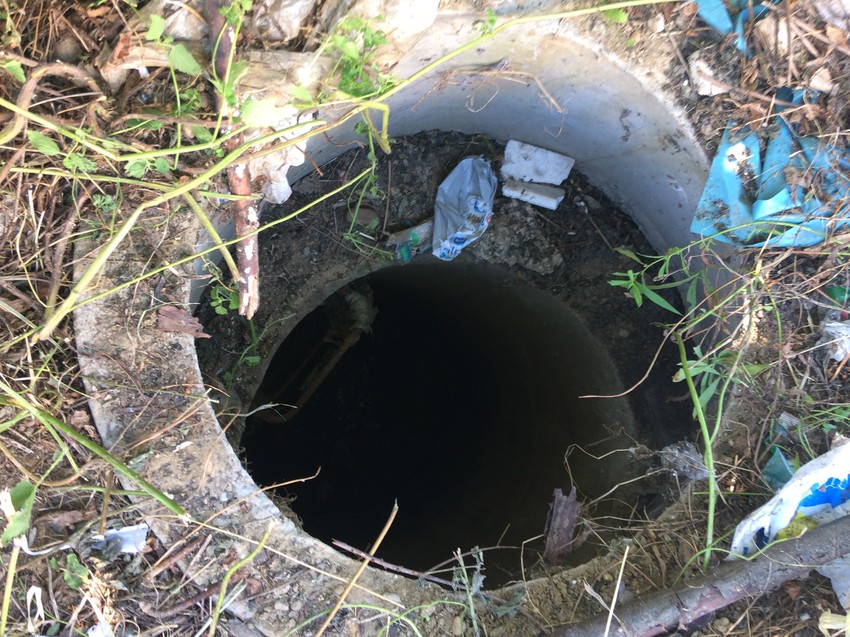 Nema ni traga od nestalih psića