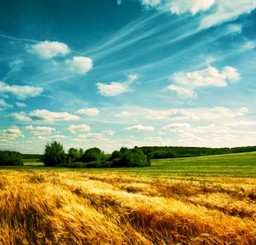 Przy sprzedaży gruntu można zapłacić VAT