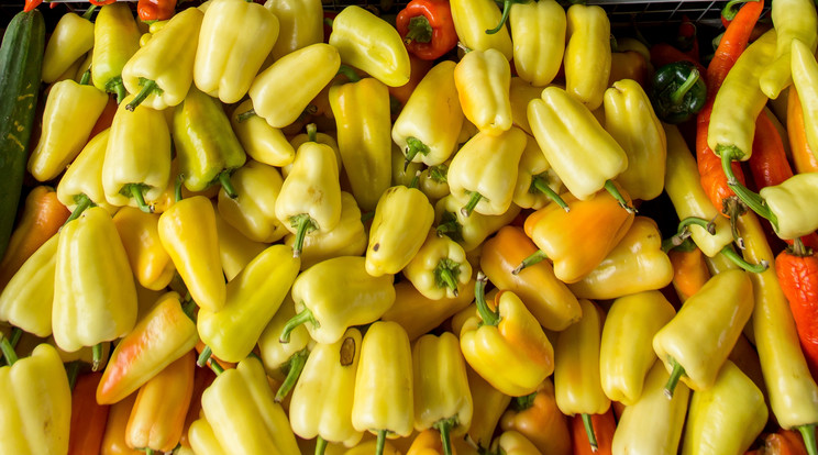 Huszonháromból kilenc paprika vetőmag akadt fenn a Nébih ellenőrzésén /Fotó: Pexels