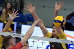 Puchar CEV siatkarzy. Gładka wygrana Skry Bełchatów