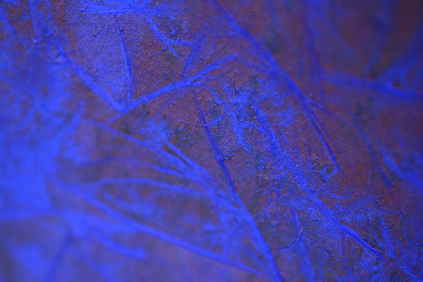 Fantastični predeo, detalj