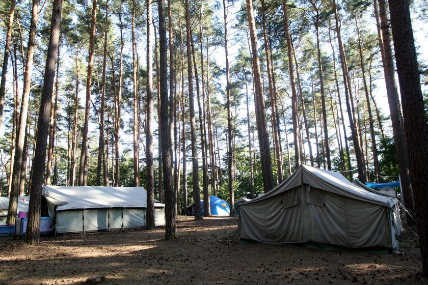 Obóz harcerski w Krzeczkowie