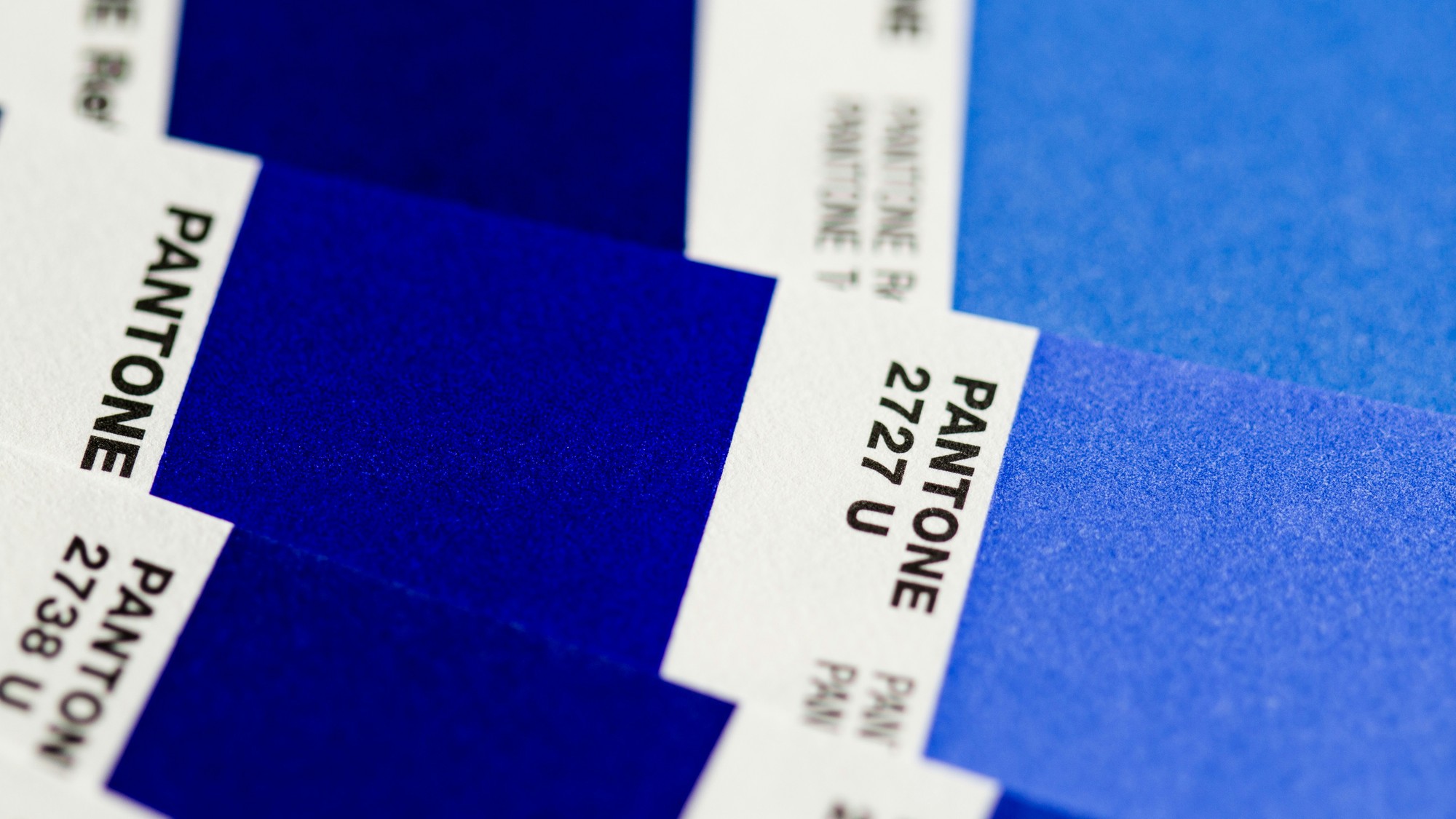 Odtieň Cerulean je späť v plnej sile. 