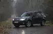 Subaru Forester 2.0D XC - Leśnik zaczął oszczędzać!