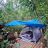 Uhapšeni migranti u okolini Beograda