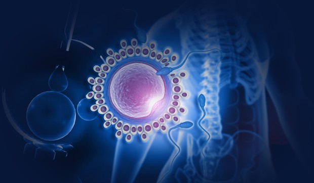 Način života utiče na kvalitet sperme