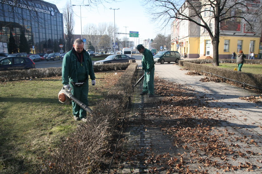 Sprzątają liście wokół pomnika Jana III Sobieskiego w Gdańsku