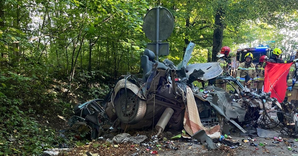Makabryczny widok po śmiertelnym wypadku. To coś było kiedyś autem