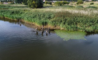 Konfederacja żąda dymisji wiceministra Witkowskiego. 'Wygłupił się i pokazał skrajną nieodpowiedzialność'