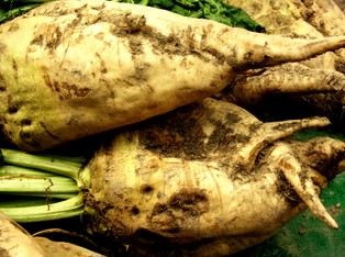 Powstał portal, dzięki któremu można pozbierać dla siebie z pola owoce lub warzywa