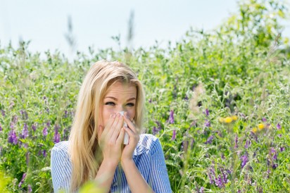 Allergiás? Segíthet az egysejtűek „titkos fegyvere” (x)