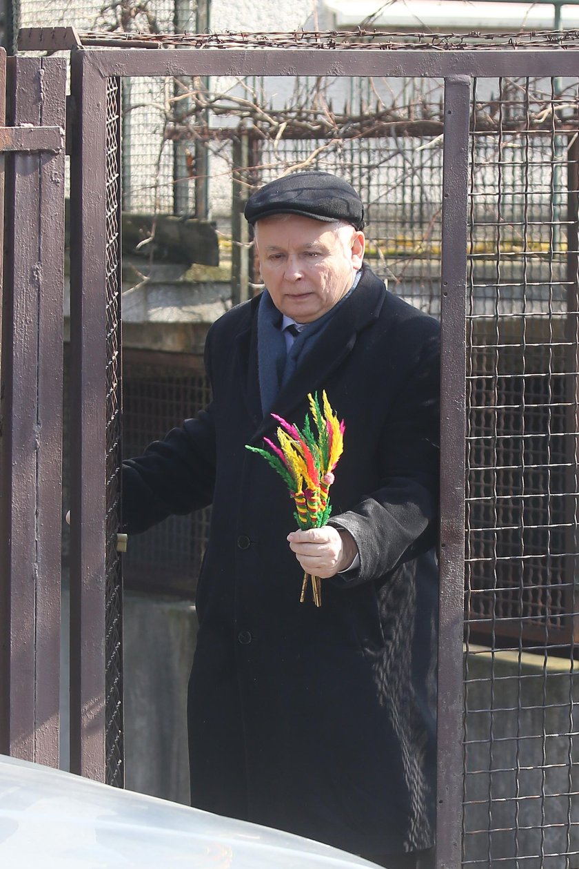 Kaczyński z palemką