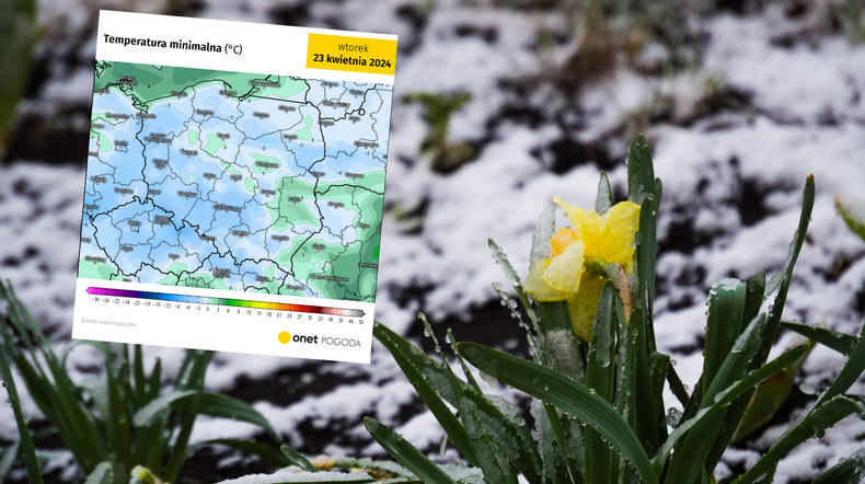 Za nami bardzo zimny poranek. To dopiero początek silnych przymrozków (screen: meteologix.com)