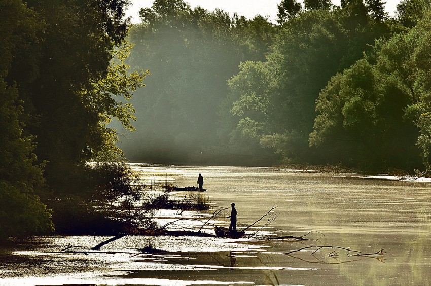 Srpski Amazon omiljeno mesto pecaroša, foto Nenad Mihajlovic