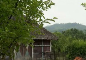 Imanje Miloša Bikovića