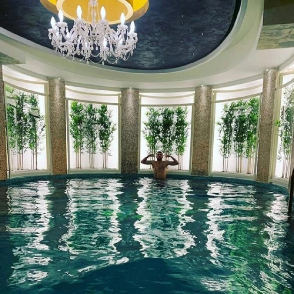 Ceca Ražnatović - dom