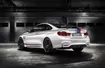 BMW M4 DTM Champion Edition