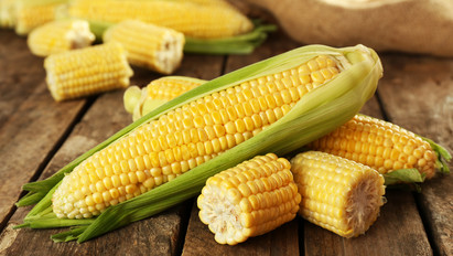 Temérdek pozitív hatása van a kukoricának, éppen ezért egy teljes menübe szőttük