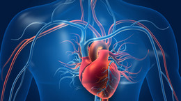 Choroby kardiologiczne to cięższy przebieg COVID-19. Jak chronić serce?