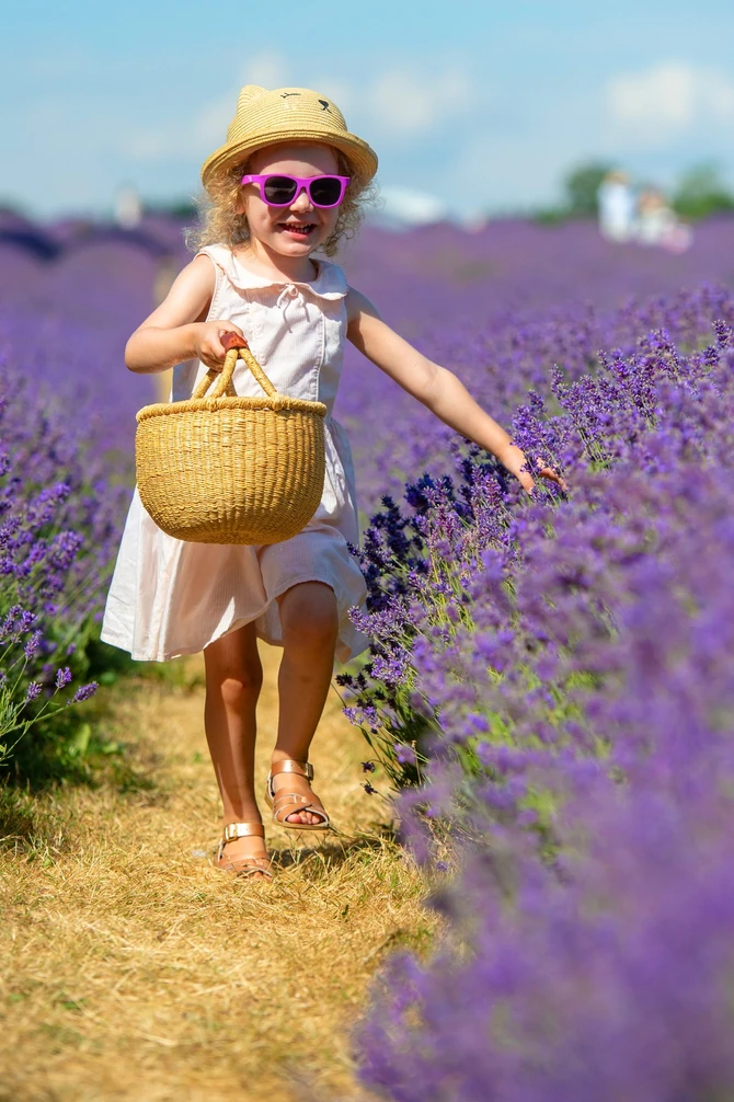 Lavanda je jedan od simbola evropskog leta