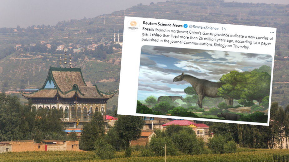 W Chinach odkryto skamieniałości największego ssaka, który chodził po Ziemi