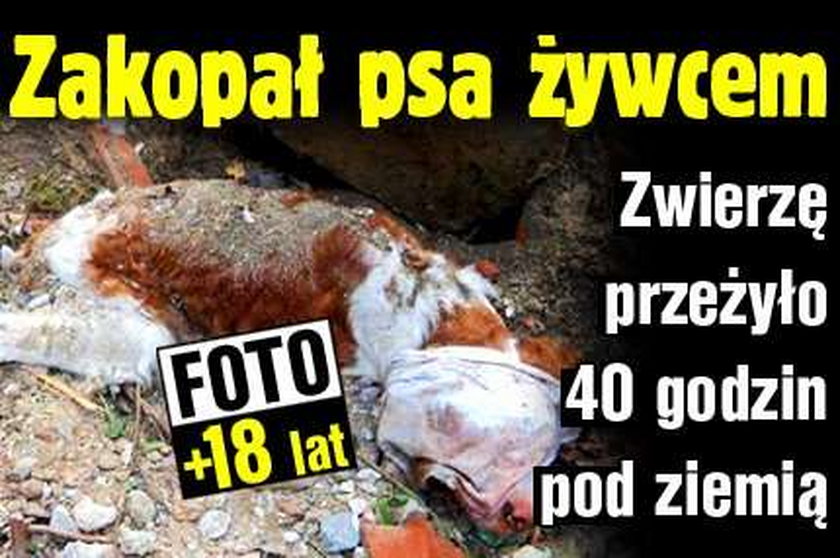 Zakopał psa żywcem. Zwierzę przeżyło 40 godz. pod ziemią. FOTO od 18 lat