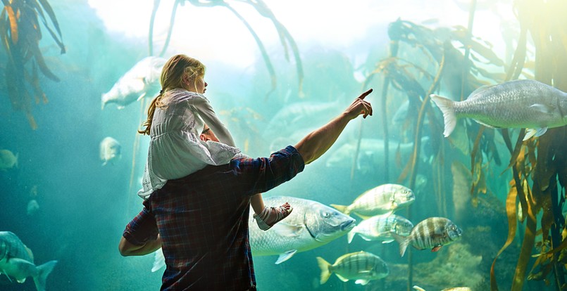 quiz biologia przyroda biologiczny przyrodniczy dziecko ojciec tata podwodny świat przyrodaFather,,Kid,And,Back,With,Fish,In,Aquarium,For,Education