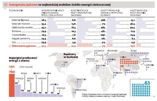 Energia atomowa wciąż przeraża Polaków