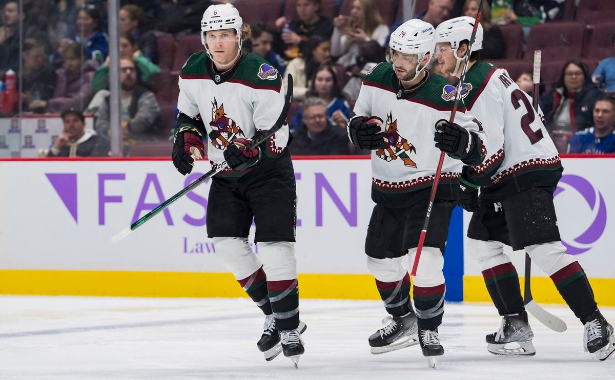 Arizona Coyotes