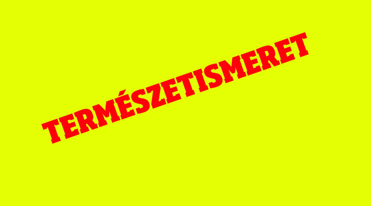 Természetismeret