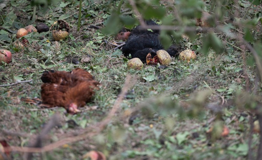 Bombardovanje Martunija