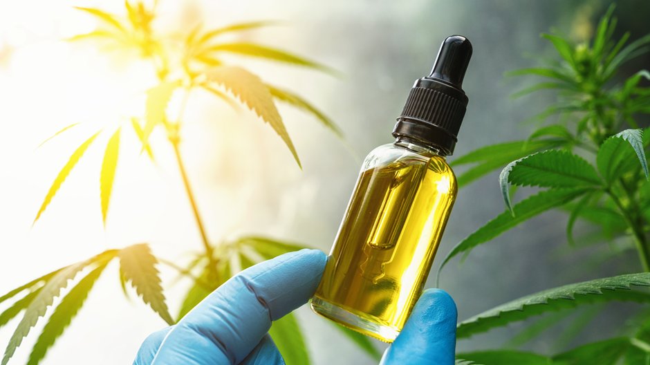 Olejek CBD może poprawic jakość życia. Jak go dawkować? / Shutterstock