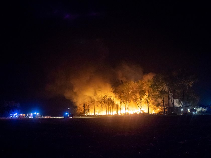 Pożar dwóch składowisk odpadów w Grabowie pod Łęczycą