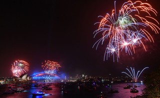 Podatek od petard wspomoże zwierzęta? Krakowscy radni apelują o wprowadzenie 'hukowego'