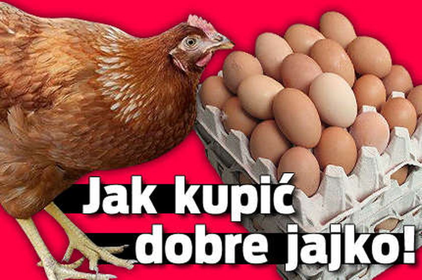 Jak kupić dobre jajko?