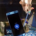 Smartfon Galaxy Note 7. Już go przetestowaliśmy