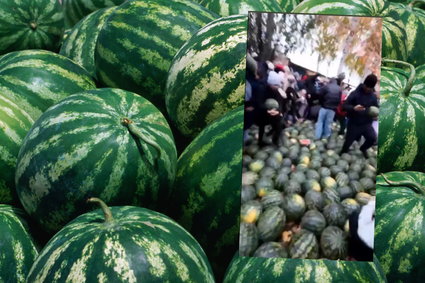 Kuriozalne sceny w Rosji. Tratują ludzi w walce o arbuzy. "To teraz kraj trzeciego świata"