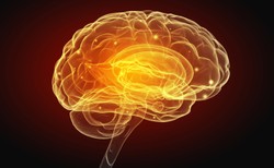 Jak zapobiec udarowi mózgu? Konkretne zalecenia