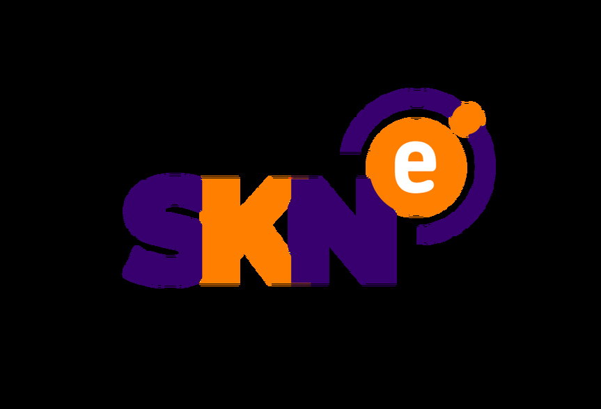 SKNE. Partner BiznesAlert.pl