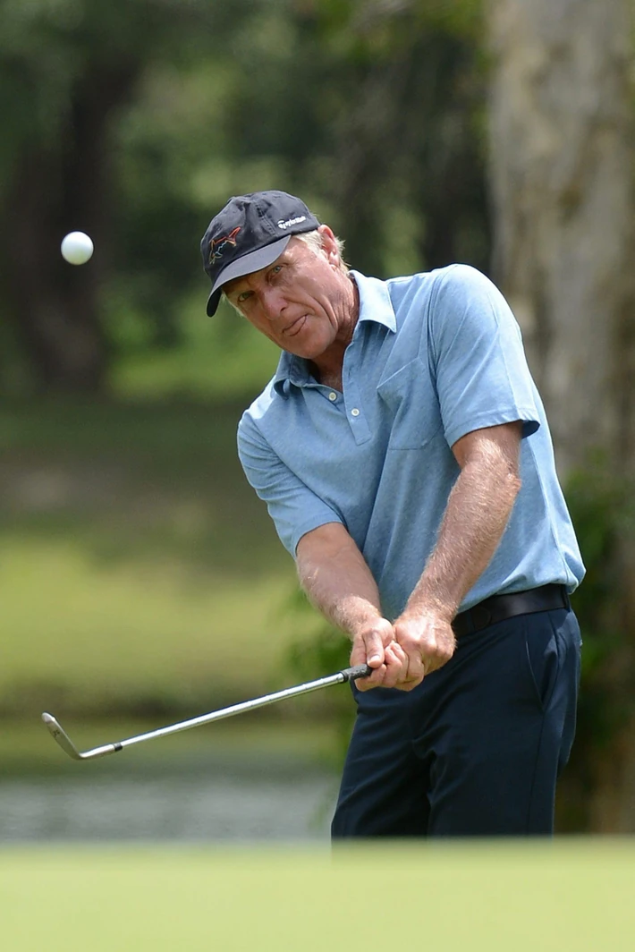 12. Greg Norman – 680 mln dol.