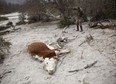 Argentina, SAN MARTIN DE LOS ANDES, prensa