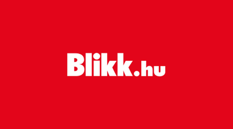 Blikk logo