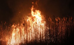 "Biebrza tykającą bombą. To tak jakby cały Targówek zarzucić żarzącym się węglem" [WIDEO]