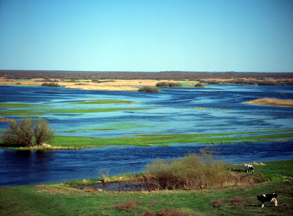 Polska - Podlasie